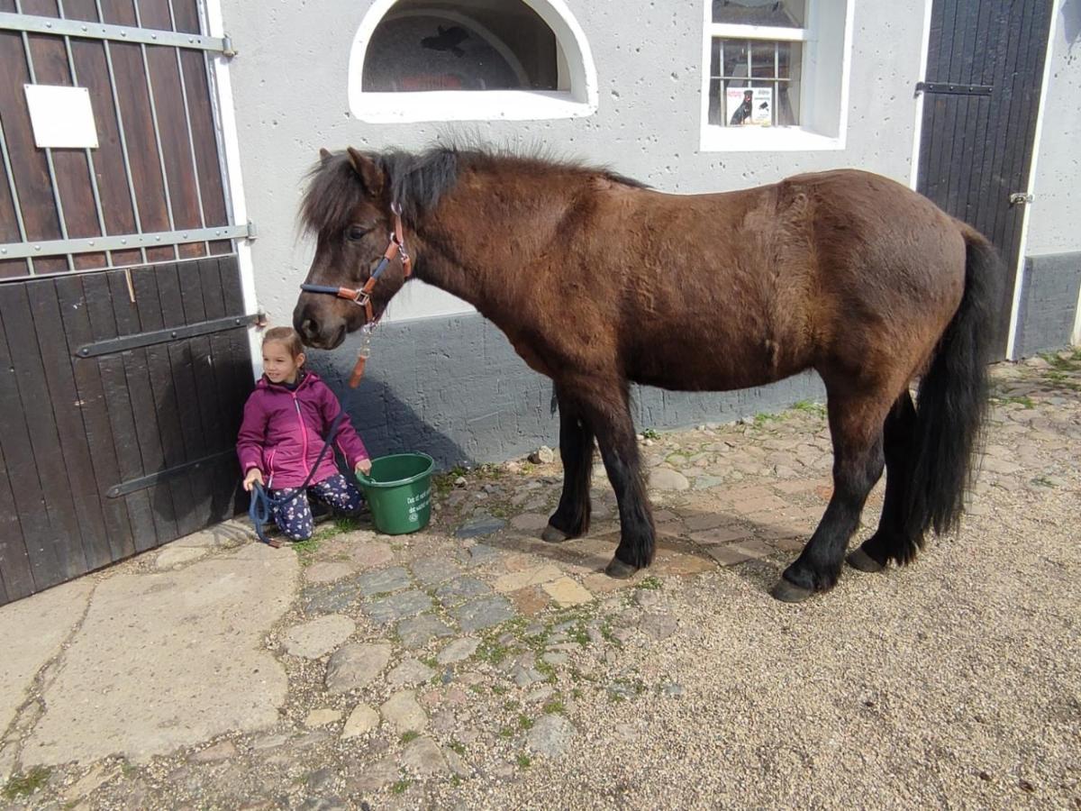Pferdepension Jaeger Markranstaedt Luaran gambar